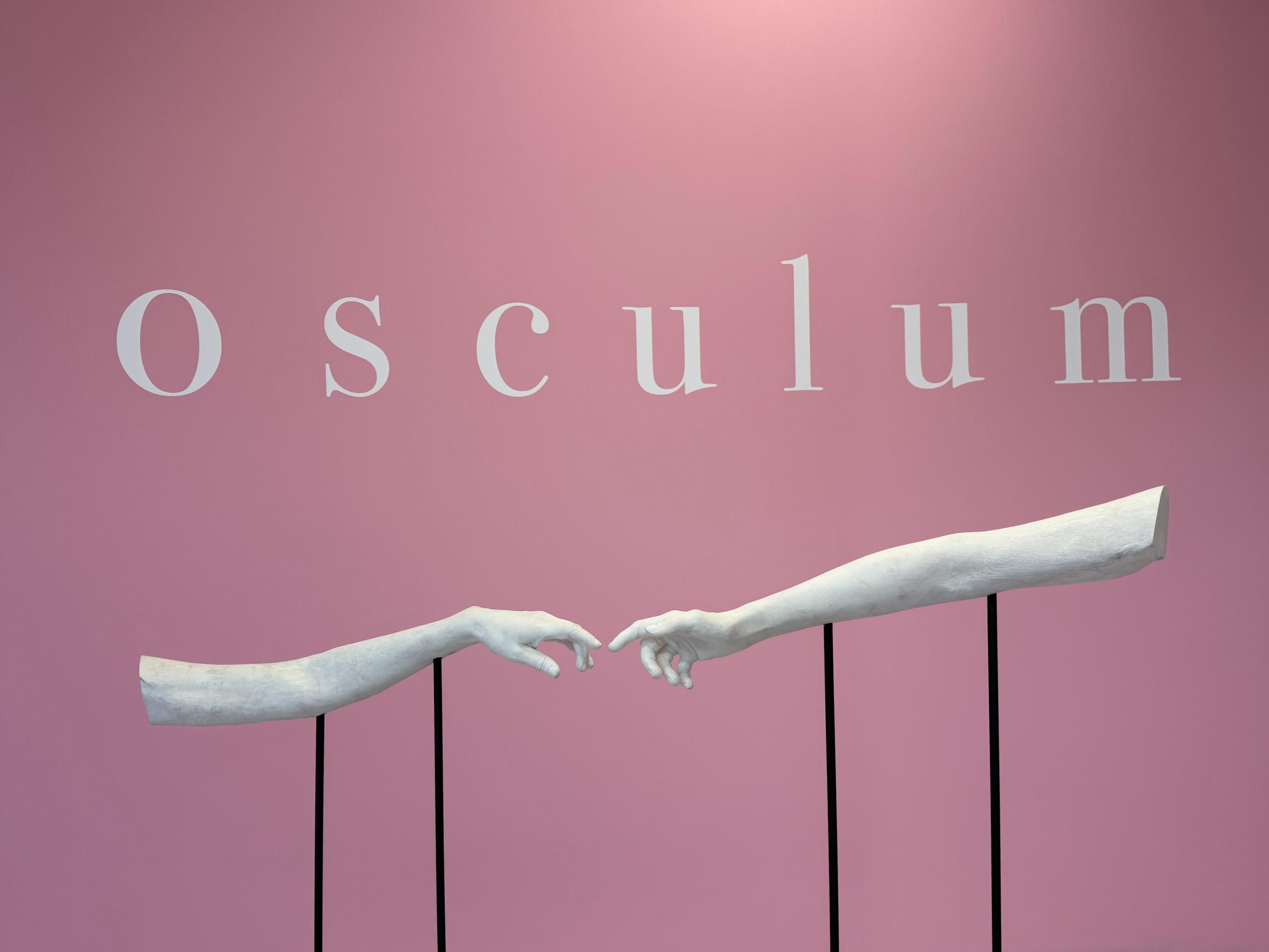 OSCULUM. BASIUM. SUAVIUM.&nbsp;solo exhibition in Thester GalleryRiga13 / 02 / 2026 - 05 / 06 / 2026